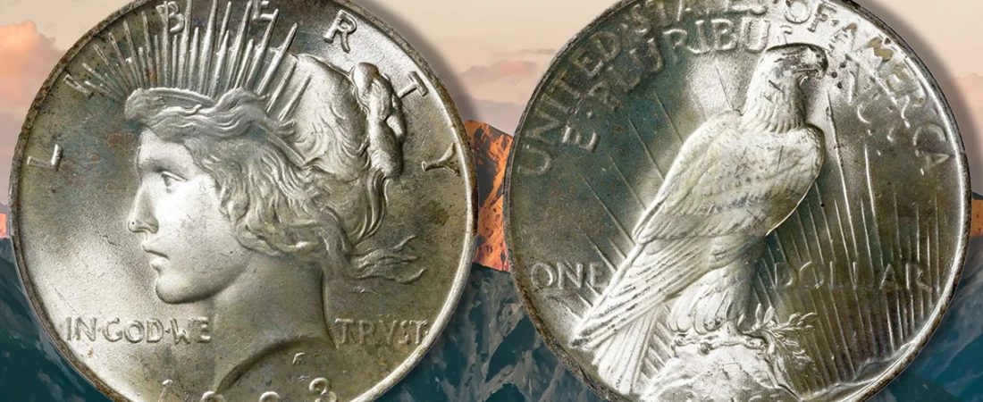 Dólar de la paz de 1923: historia y valor
