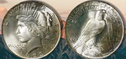 Dólar de la paz de 1923: historia y valor