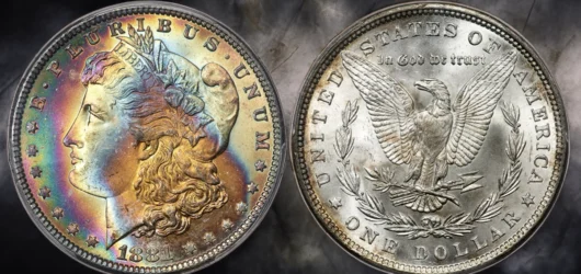 Dólar Morgan de 1881: una guía para coleccionistas